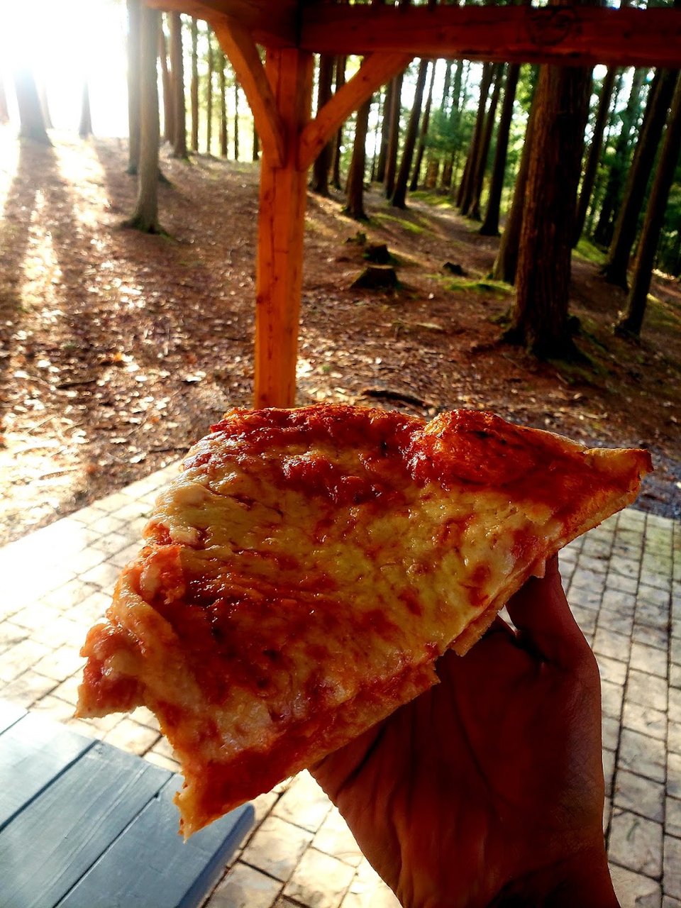 Printed menu with pizza and subs